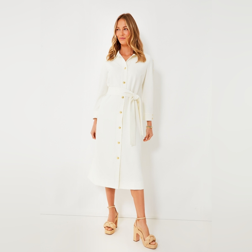 Tuckernuck Dress